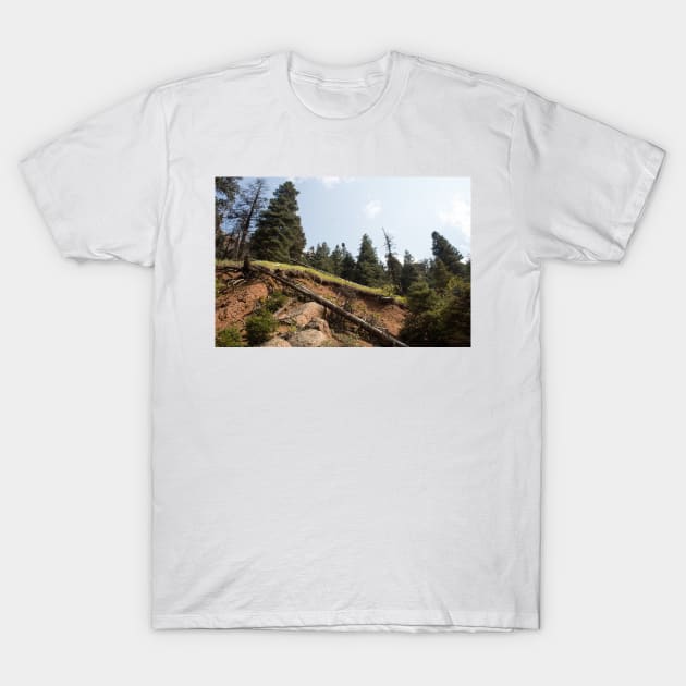 Journey Through Manitou T-Shirt by Jacquelie